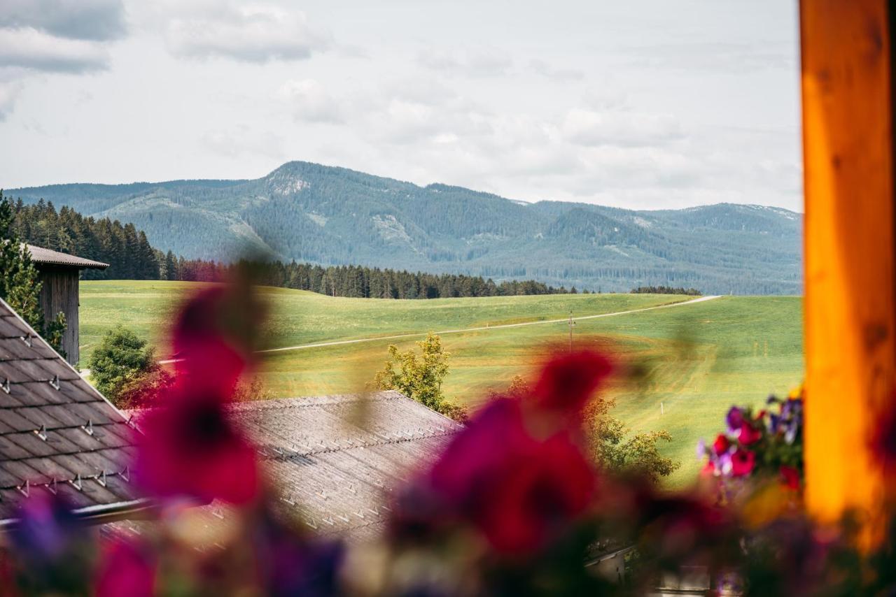 Wander- Und Wellnesshotel Kanzler Bad Mitterndorf Exterior foto